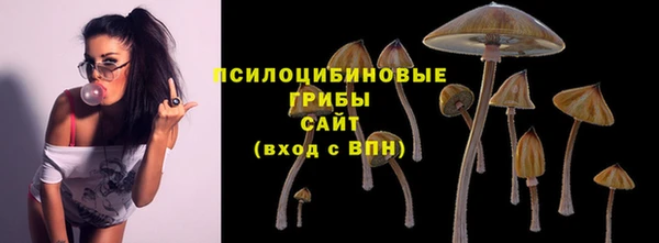 COCAINE Краснотурьинск